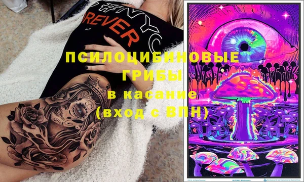 ECSTASY Алзамай