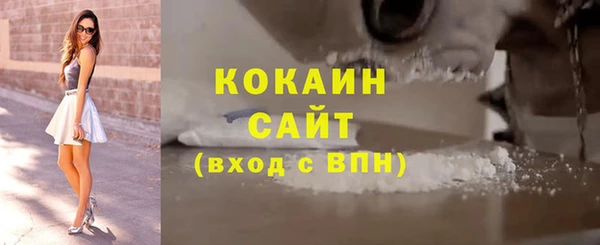ECSTASY Алзамай