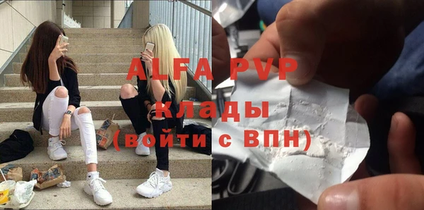 ECSTASY Алзамай